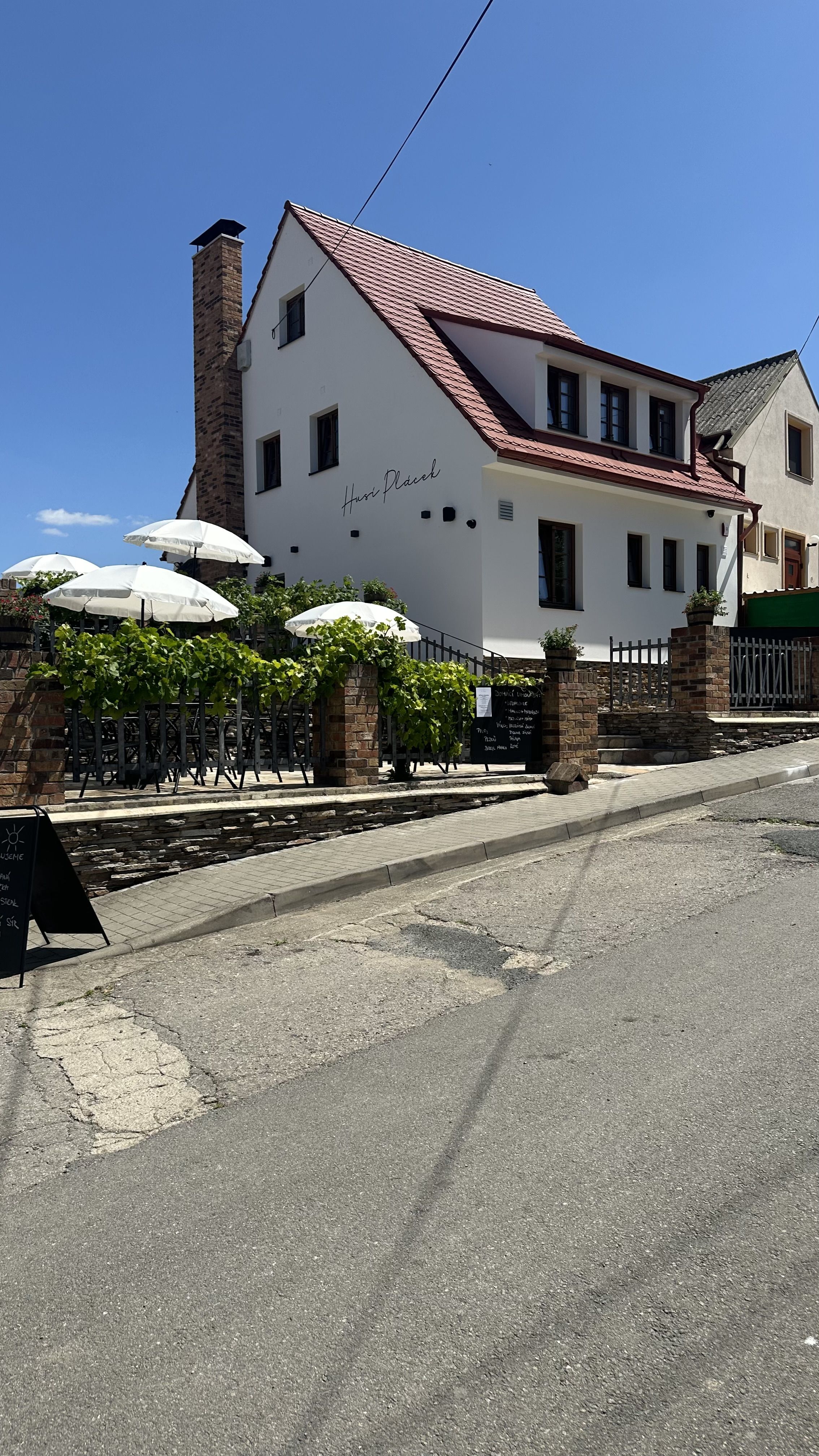 Hlavní foto reference